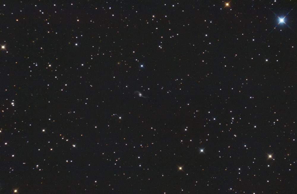 NGC338 alexander reinders 1000