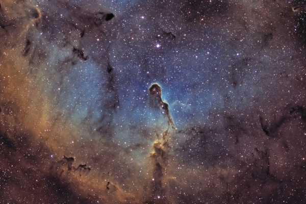 elephant-s-trunk-nebula-1920C0BF1E5D-786A-85FD-3380-81AA4E8FA914.jpg