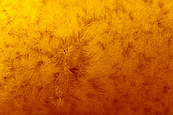 solar-region9172B4AB-B93F-A293-100F-6F847518A35F.jpg