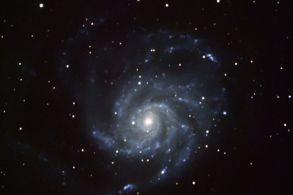 m101c8red533-60minmedcbe-2CA53880C-49E9-74C3-52A5-93B64EAE6746.jpeg