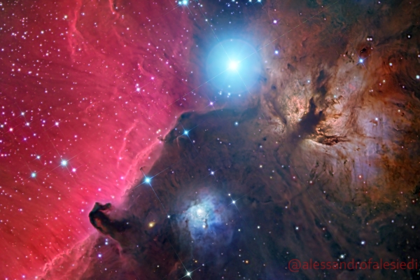alessandro-falesiedi-horseheadD4D8A223-1068-60A2-B412-4BC310EBEEFC.jpg